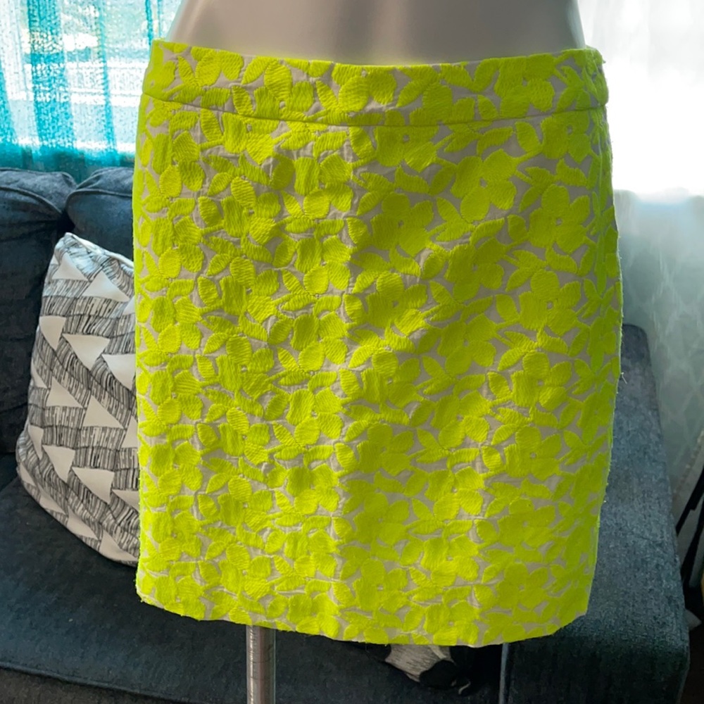 J. Crew Skirt Sz 6